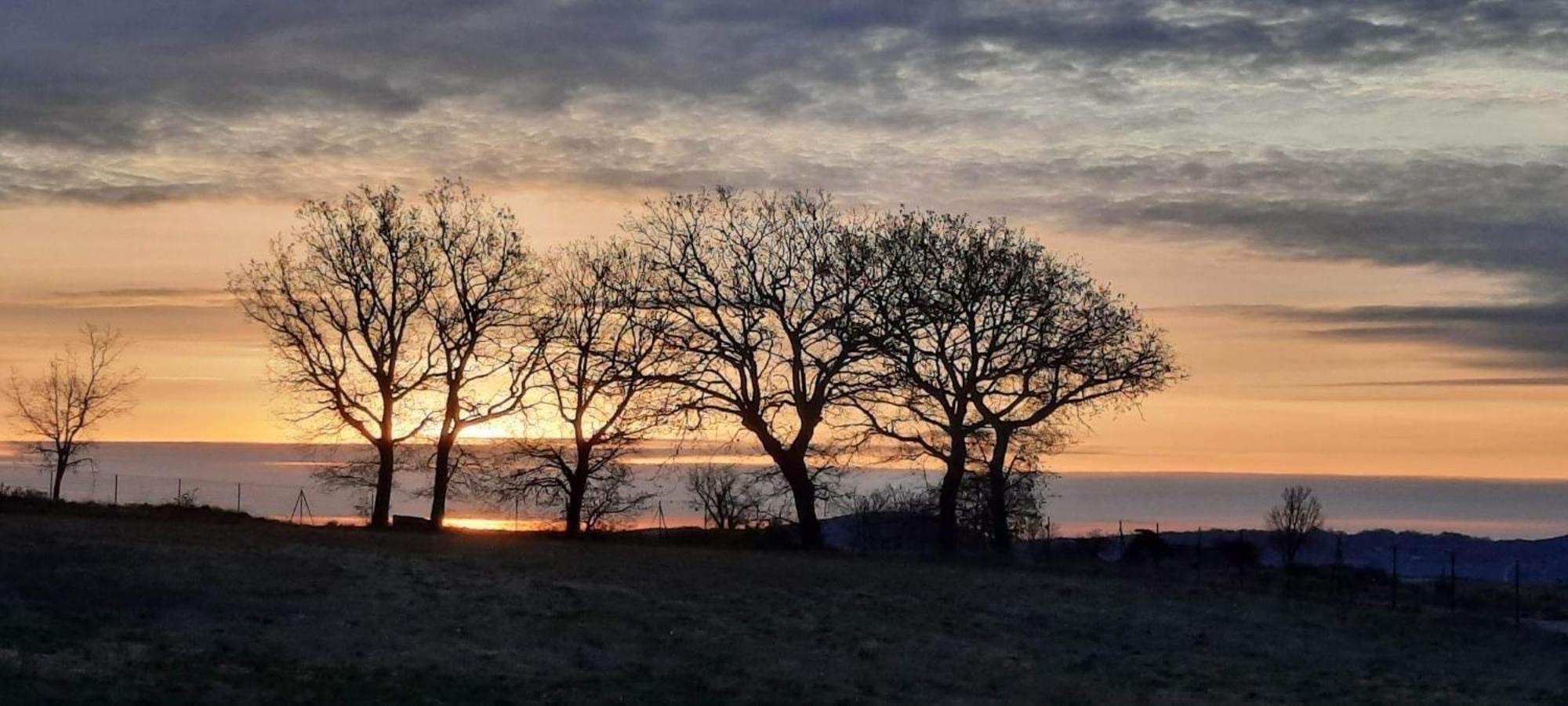 L'Arbre Qui Chante Saint-Etienne-de-Sermantin Eksteriør billede